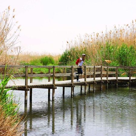 Azraq Rest House Al Azraq ash Shamālī Exteriör bild