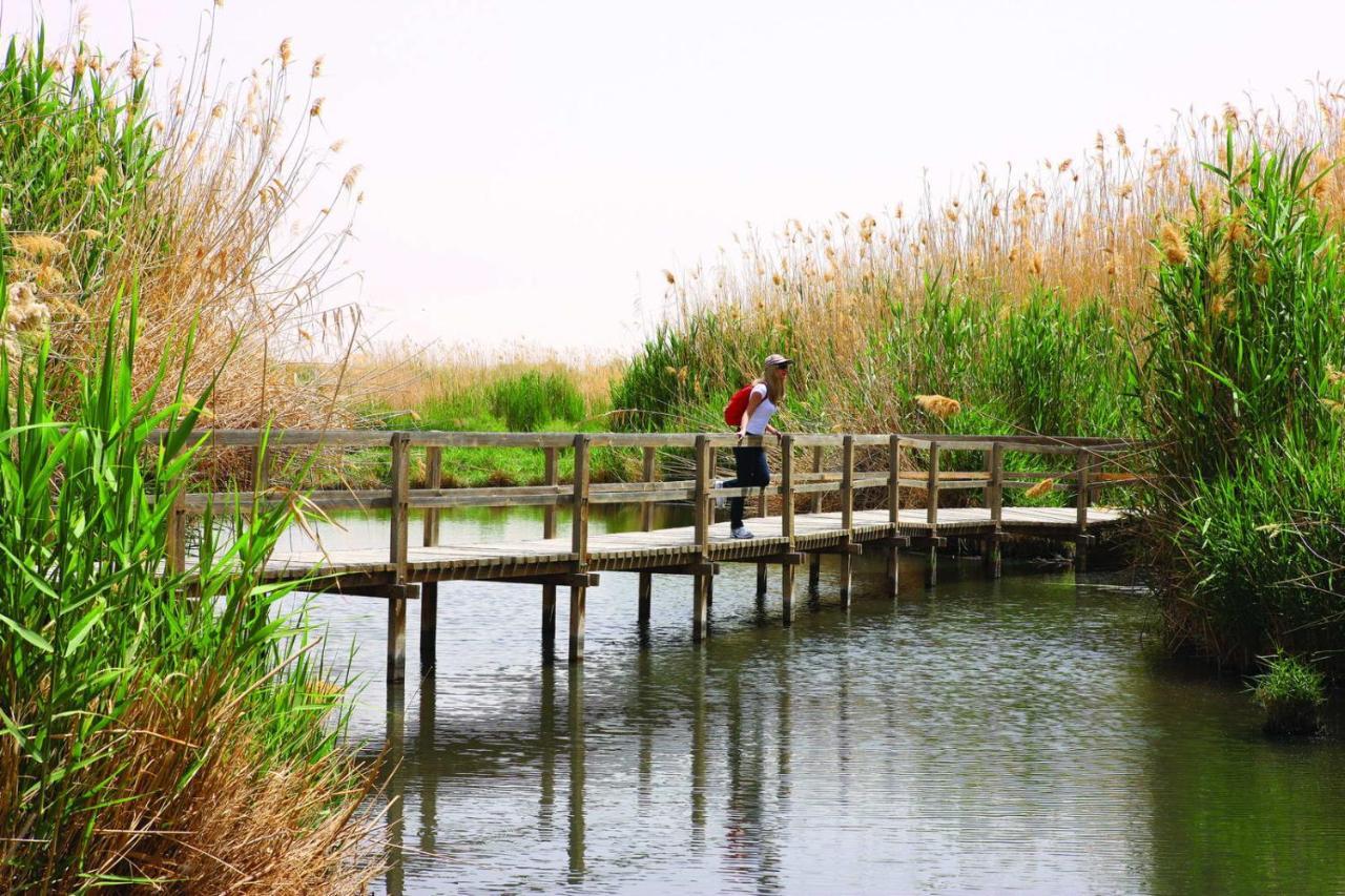 Azraq Rest House Al Azraq ash Shamālī Exteriör bild